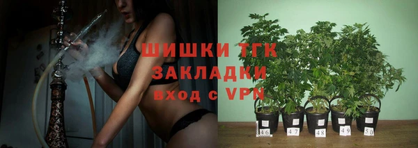 дживик Волоколамск
