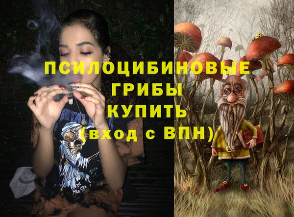 дживик Волоколамск