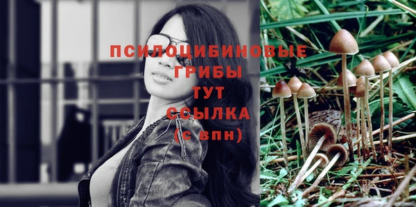 дживик Волоколамск