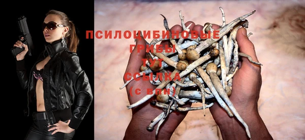 дживик Волоколамск